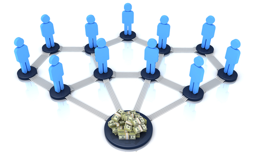 mlm-software-development-bikaner-india5.jpg